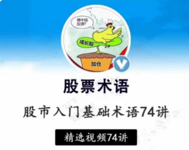 【张一山】炒股基础入门股市基础术语精讲74集_拾壹资源网