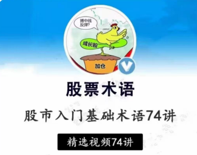 图片[1]_【张一山】炒股基础入门股市基础术语精讲74集