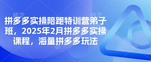 图片[1]_泓一弟子班拼多多实操陪跑特训营，2025年2月拼多多实操课程，海量拼多多玩法