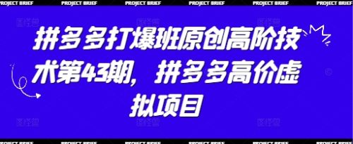 叮当会拼多多打爆班原创高阶技术第43期,拼多多高价虚拟项目_拾壹资源网