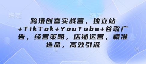 跨境创富实战营，独立站+TikTok+YouTube+谷歌广告，经营策略，店铺运营，精准选品，高效引流_拾壹资源网