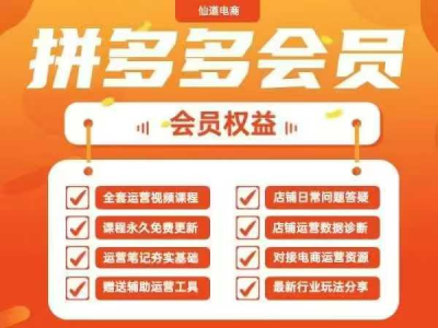 仙道电商2025拼多多运营实战课 40节全流程教学，覆盖拼多多运营全链路！_拾壹资源网