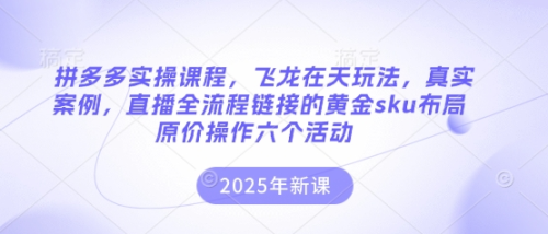 拼多多实操课程，飞龙在天玩法，真实案例，直播全流程链接的黄金sku布局原价操作六个活动_拾壹资源网