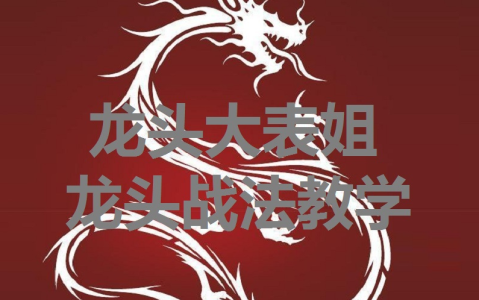 龙头大表姐龙头战法教学_拾壹资源网