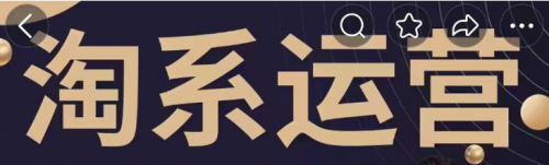 【石头老师】星雪电商私教班2025年淘系电商标准化起店流程私教班_拾壹资源网