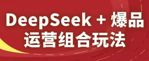 秋秋DeepSeek+爆品运营组合玩法，2025淘系精品课_拾壹资源网