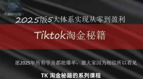 TikTok跨境2025淘金秘籍,2025TikTok从0到盈利变现_拾壹资源网
