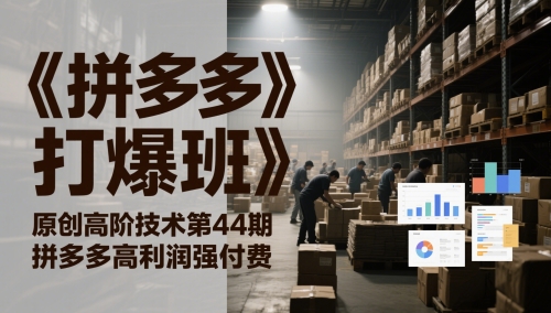 叮当会《拼多多打爆班》原创高阶技术第44期，拼多多高利润强付费_拾壹资源网