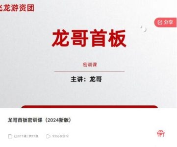 飞龙游资团龙哥首板密训课(2024新版)_拾壹资源网