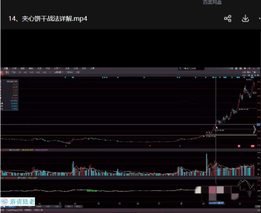 短线实战股票视频课程 19课_拾壹资源网