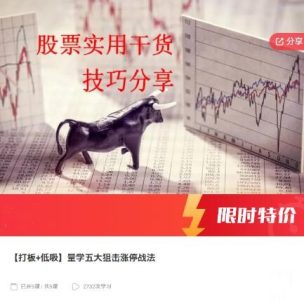 【打板+低吸】量学五大狙击涨停战法_拾壹资源网