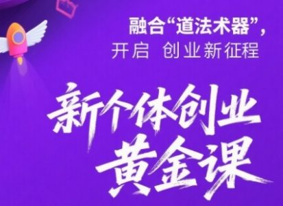 新个体创业黄金课:道法术器四维抢占2025红利_拾壹资源网