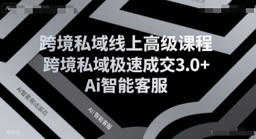 跨境私域线上高级课程,跨境私域极速成交3.0+Ai智能客服_拾壹资源网