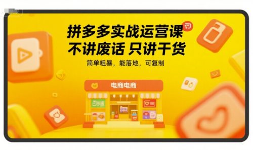 拼多多实战运营课，不讲废话只讲干货，简单粗暴，能落地，可复制_拾壹资源网