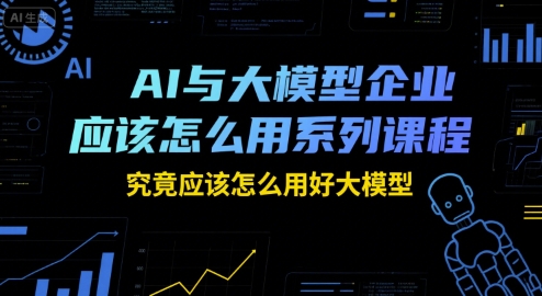 瑞克老张AI与大模型企业应该怎么用系列课程，究竟应该怎么用好大模型_拾壹资源网