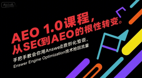 大卫AEO 1.0 课程,从SEO到AE0的基命性转变,手把手教会你用AnswerEngineOptimization技术抢回流量_拾壹资源网