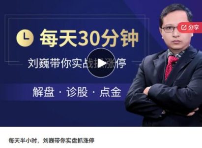 每天半小时,刘巍带你实盘抓涨停_拾壹资源网
