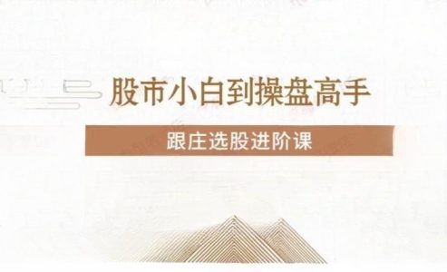 投机大拿跟庄选股进阶课_拾壹资源网