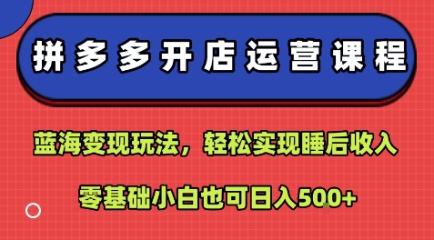拼多多开店运营课程：蓝海变现玩法，轻松实现睡后收入，零基础小白也可日入5张_拾壹资源网