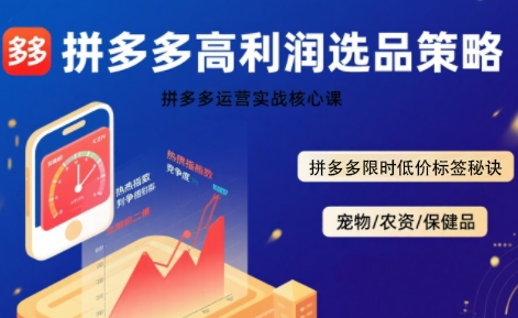 久号老师·拼多多选品暴利技术实战课,拼多多高利润选品策略,拼多多限时低价标签秘诀_拾壹资源网