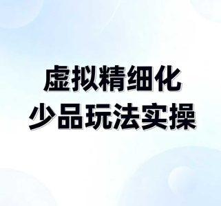 力辛电商【虚拟精细化少品玩法实操】 选品、测品、上架、注意事项_拾壹资源网
