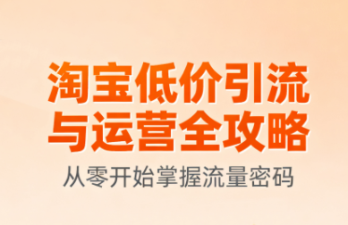 淘宝低价引流与运营全攻略，从零开始掌握流量密码_拾壹资源网