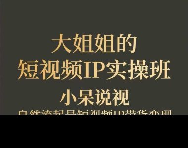 大姐姐的短视频IP带货实操班_拾壹资源网