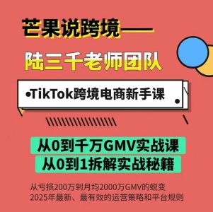 陆三千TikTok跨境电商新手课,TikTok从入门到盈利的全流程!2025年最新最有效的运营策略和平台规则。_拾壹资源网