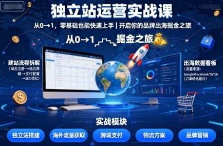 独立站运营实战课,从0到1,零基础也能快速上手,开启你的品牌出海掘金之旅_拾壹资源网