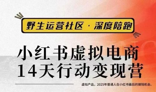 小红书虚拟电商14天变现训练营3.0，虚拟产品，2025年普通人在小红书最后的搞钱机会_拾壹资源网