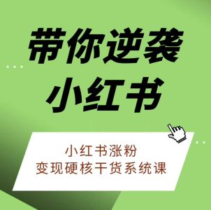 老夏带你逆袭小红书 小红书涨粉+变现硬核干货系统课_拾壹资源网