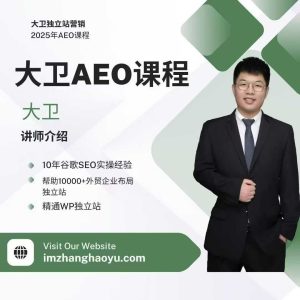 2025年大卫AEO课程 带你从谷歌传统SEO到AEO顺利转型_拾壹资源网