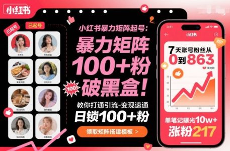 小红书暴力矩阵起号,教你打通引流-变现速通,日锁100+粉,破流量黑盒_拾壹资源网