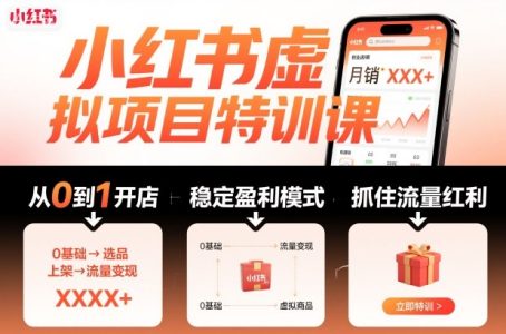 陆明明·小红书虚拟项目特训课,帮你从0到1打造稳定盈利的店铺,抓住流量红利(更新9月)_拾壹资源网