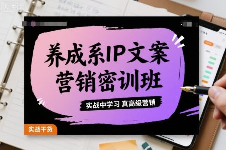 大双养成系IP文案营销密训班，实战中学习真高级营销_拾壹资源网