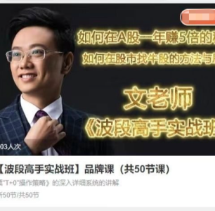文秋明文老师【波段高手实战班】品牌课(共50节课)_拾壹资源网