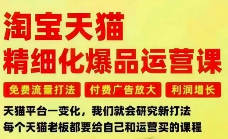 淘宝天猫精细化爆品运营课，免费流量打法-付费广告放大-利润增长-三大核心痛点，一次全部解决_拾壹资源网