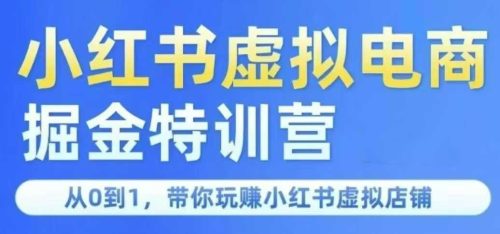 锋声小红书虚拟掘金特训营第三期，从0到1，带你玩赚小红书虚拟店铺_拾壹资源网