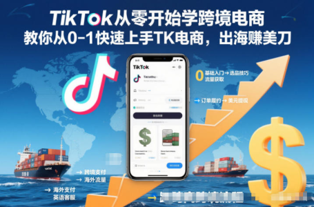 TikTok从零开始学跨境电商,教你从0-1快速上手TK电商,出海賺美刀_拾壹资源网