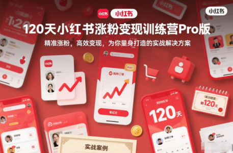 120天小红书涨粉变现训练营Pro版，精准涨粉，高效变现?，为你量身打造的实战解决方案_拾壹资源网