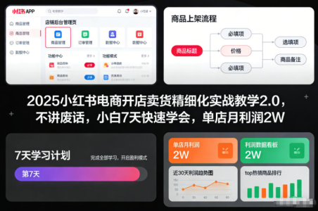 2025小红书电商开店卖货精细化实战教学2.0，不讲废话，小白7天快速学会，单店月利润2W_拾壹资源网