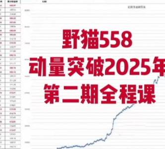野猫558动量突破2025年第二期全程课_拾壹资源网