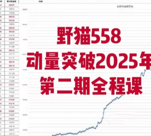 图片[1]_野猫558动量突破2025年第二期全程课