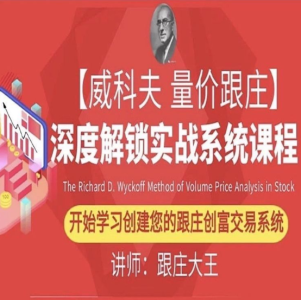 跟庄大王第七届威科夫量价跟庄培训班课程视频回放（包含PPT课件资料）_拾壹资源网