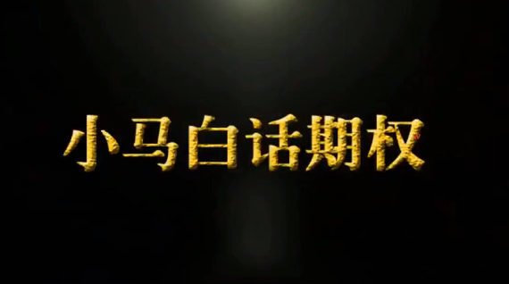 图片[1]_小马白话期权【第1季】