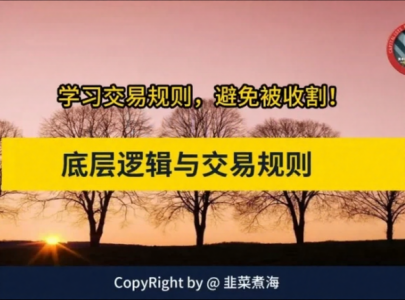 韭菜煮海《交易底层逻辑与交易规则》,股市进阶必修课_拾壹资源网