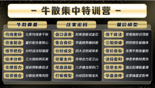 2025年袁博牛散特训营视频+资料+指标_拾壹资源网