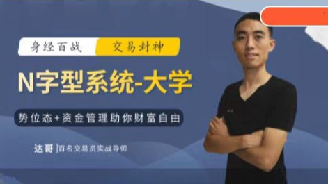 达哥N字交易系统小学、中学、大学合集_拾壹资源网