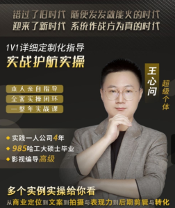 王心问-自媒体实战护航计划 实战护航实操，多个实战案例_拾壹资源网
