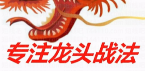 2025新更龙头战法系列课程_拾壹资源网